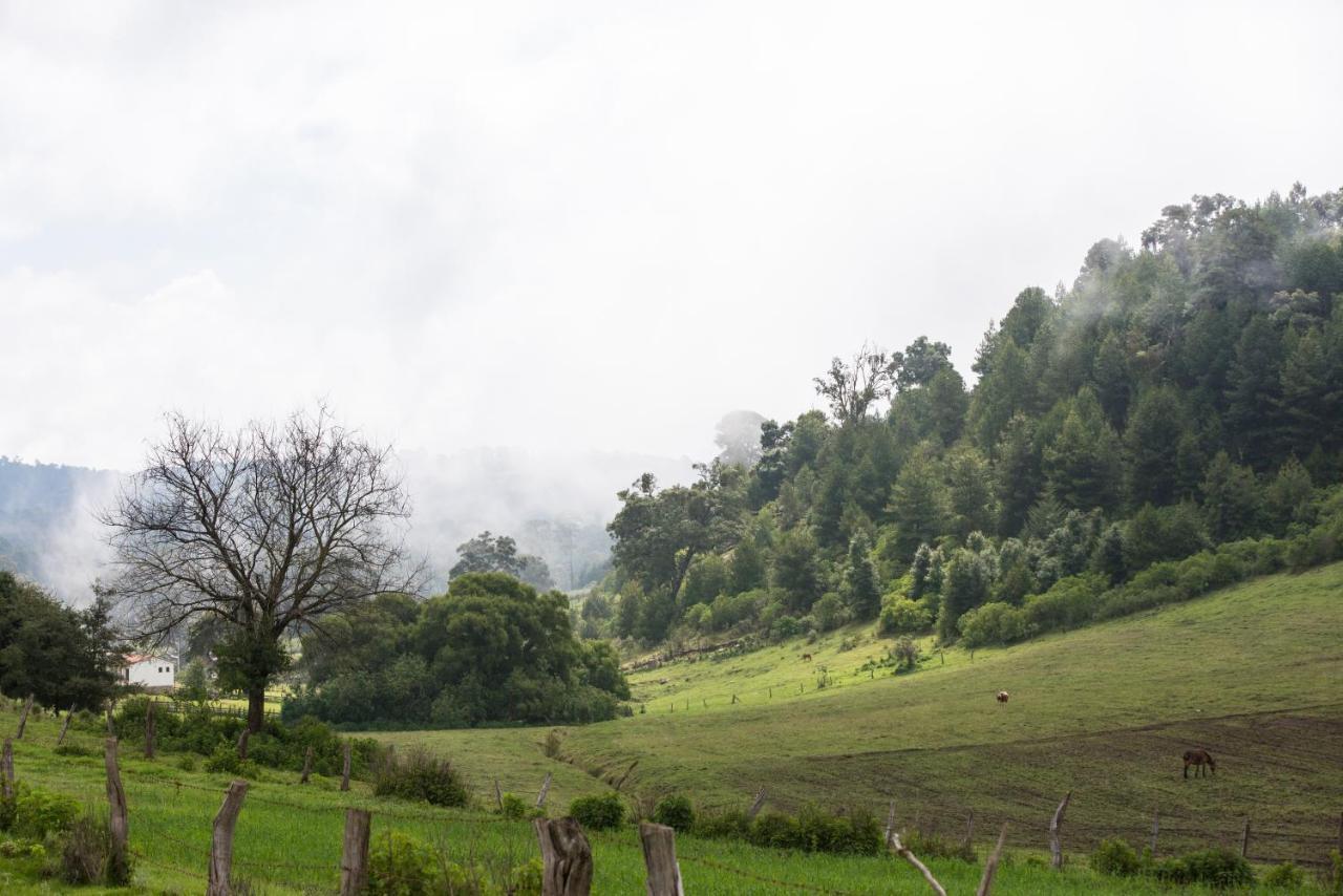 Hotel La Casona Tapalpa Kültér fotó